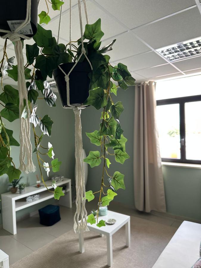 Botanical Suite Bari Exterior foto